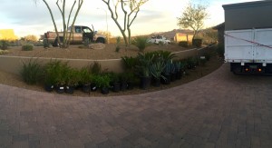 Custome Landscaping North Phoenix 2