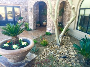 Custome Landscaping North Phoenix 4 (1)
