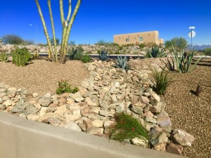 Custome Landscaping North Phoenix 4