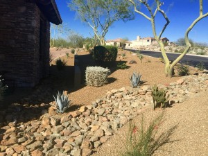 Custome Landscaping North Phoenix 5