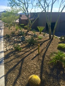 Custome Landscaping North Phoenix 7 (1)