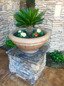 Custome Landscaping North Phoenix 8