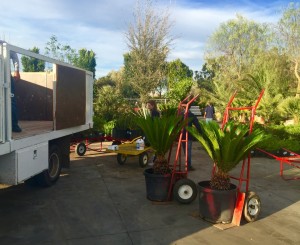 Custome Plant and Flower Selection and Delivery 1     