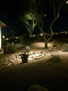 Landscape Light Design 3