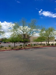 Managed Commercial Property 4 