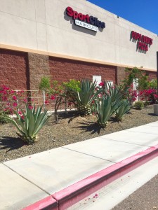 Property Landscaping 4