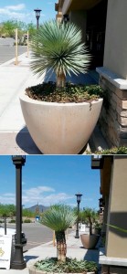 Property Landscaping 5